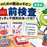 第6回：研修医のための輸血検査 ― クロスマッチと不規則抗体って何？