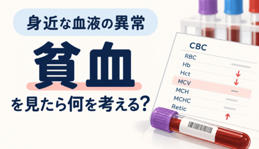 身近な血液の異常：貧血を見たら何を考える？